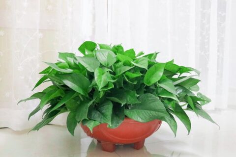 上班后就没有生活?只要三步,活成自己向往的样子